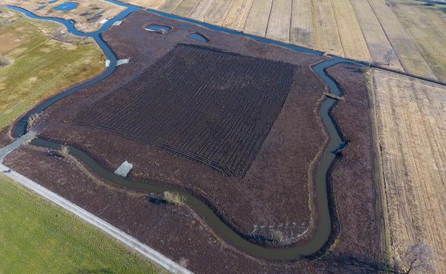 Ortsgemeinde Au an Vorzeige-Biotop in Lustenau beteiligt