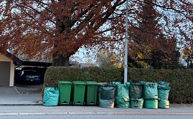 Grünabfuhr: «Die Hoffnung und das Unkraut sterben zuletzt»