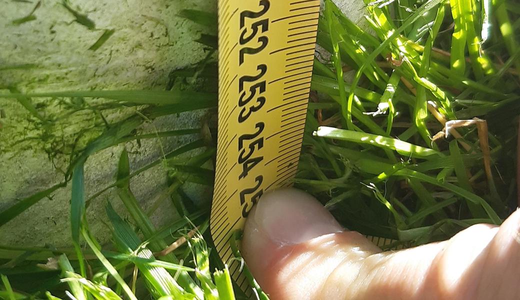 2,54 statt 2,44 Meter – das Tor ist zehn Zentimeter zu hoch.