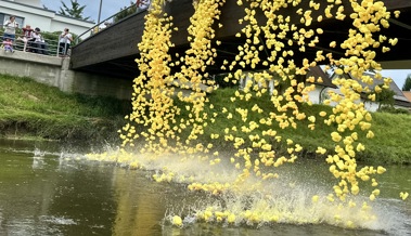 Eine Rekordanzahl Enten schwamm auf dem Bienenkanal