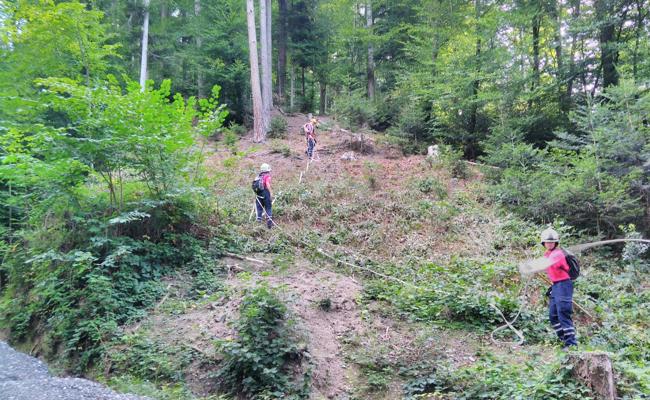 Parat, falls es im Wald brennt