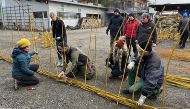 Mit Eifer flechten und bauen  - Pro Riet führte einen Weidenkurs durch