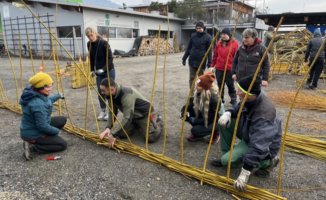 Mit Eifer flechten und bauen  - Pro Riet führte einen Weidenkurs durch