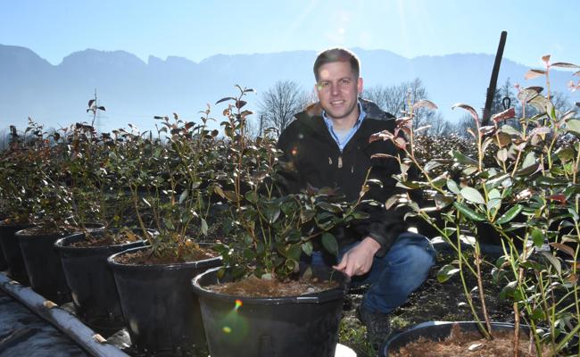 Heidelbeeren statt Quitten