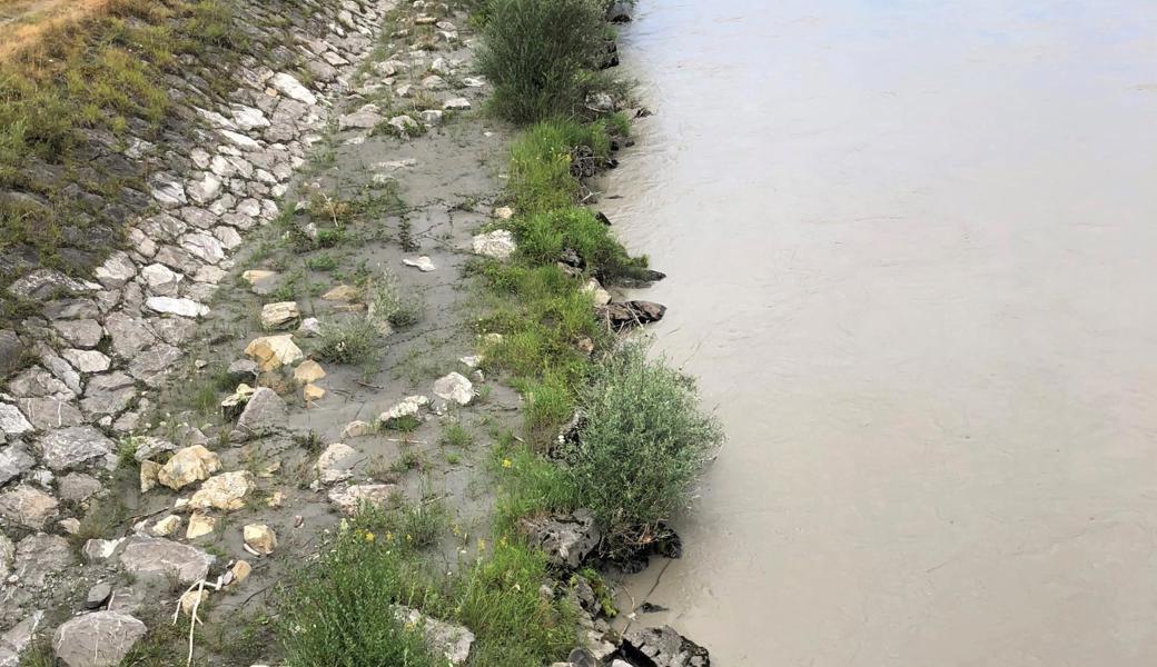 Der Rhein, hier auf Höhe der Wiesenrainbrücke in Widnau, führt aktuell wenig Wasser. Die Grundwasserströme unter dem Rheinvorland sind jedoch auch in Trockenperioden sehr stabil.