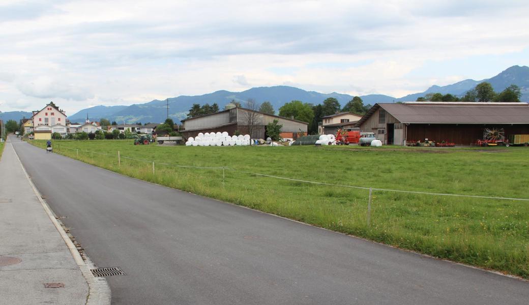 Markierte Parkfelder auf dieser Strasse werden von Landwirten und Oberfahr-Bewohnern als keine gute Idee betrachtet.