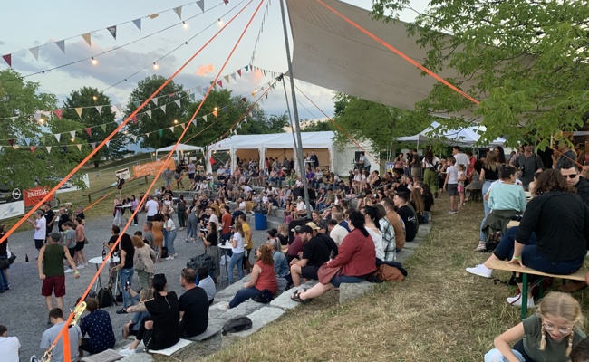 Impressionen vom «Projekt Blues Rock» im Rheinauenpark