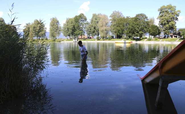 Exotisches tummelt sich im Wasser: Im Baggerli gibt’s Quallen
