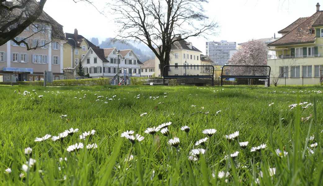 Auf den Frühling hin bietet sich zwei St.Margrether Parteien die Chance, ihre politische Saat aufgehen zu lassen und nach der Ersatzwahl vom 12. März in den Gemeinderat zurückzukehren. 