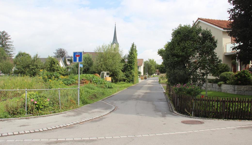 Die meiste Zeit ist es auf dem Burgweg - einer 150 Meter langen, von der Adlerstrasse abzweigenden Sackgasse - recht ruhig. Aber ausgerechnet, wenn die Schule anfängt oder endet, gibt es viel Verkehr. Einige Anwohner finden, es sei eine Tempobeschränkung nötig.