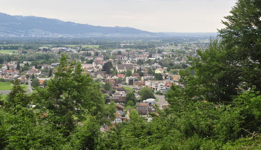Blick vom Blattenberg auf Oberriet.